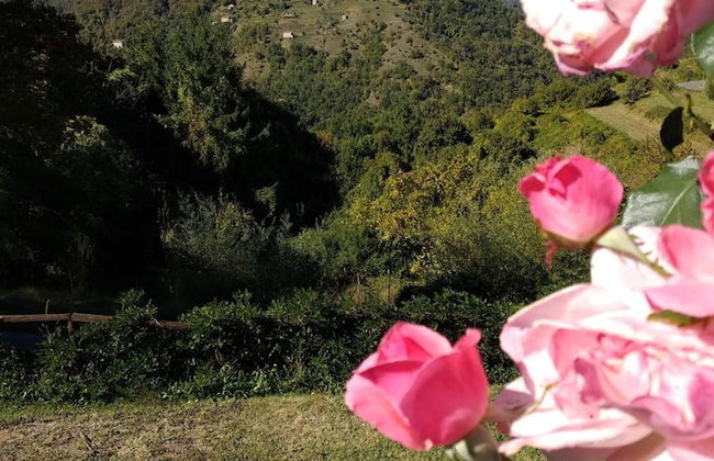 Agriturismo Summer - Foto 37