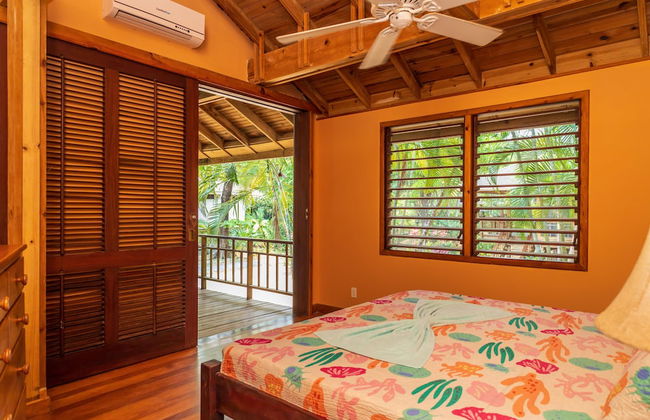 Tropical Breeze - Foto 14