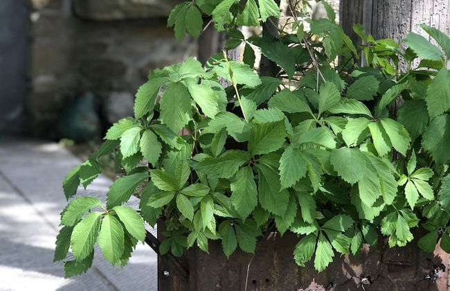 la Casetta Nel Bosco Feel the Nature - Foto 16