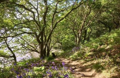 Penarvon House - Stunning Waterfront Escape with Games Room - Foto 49