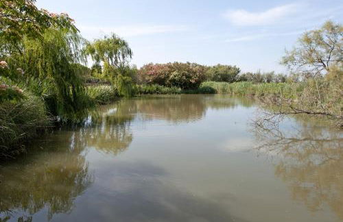 Gîtes Equestres Lou Caloun - Les Saintes Maries de la Mer - Foto 70