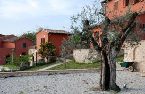 Tenuta San Savino delle Rocchette - Foto 80