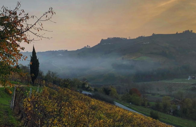 Villa Garassino - Foto 51