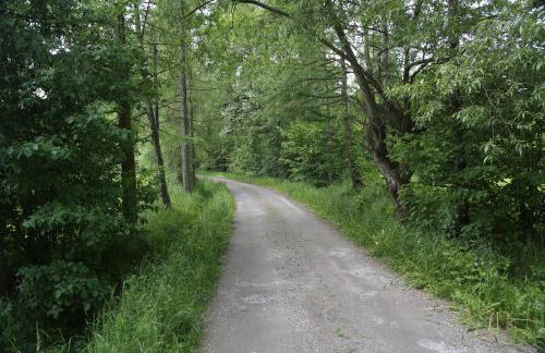 Gospodarstwo Agroturystyczne Stary Młyn Wilczkowice - Foto 9