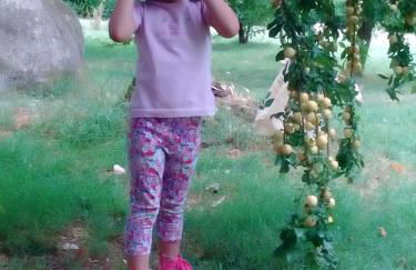 Antico Casale dei Sogni agriturismo - Foto 112