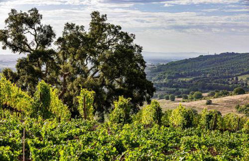 La Foresteria di Rocca di Frassinello - Foto 16