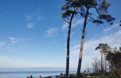 Perle (Ferienhaus) an der polnischen Ostsee - Foto 34