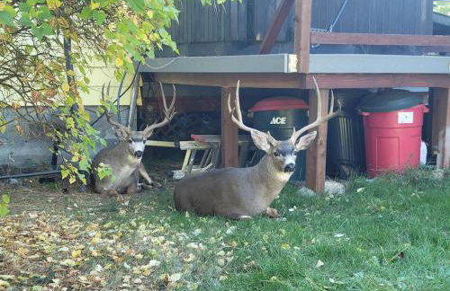 Historic HM, Mountain Views, Hot Tub, Steam Room - Foto 42