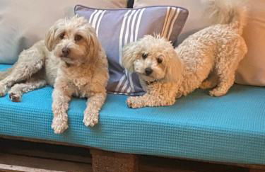 T H E BERLIN Studios and Suites - Foto 57