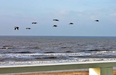 Beachfront - Hot Tub - Home Theater - Foto 40
