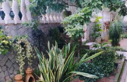 Cantinho da Vovó Regina - Foto 32