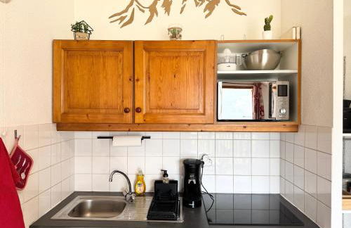 Appartement cosy 4 personnes Vue Montagne - Foto 12