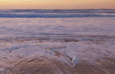 Villa Cocoon Contis océan à 900m - Foto 21