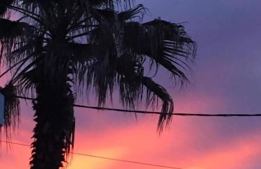 ILIOPOULOS Apartments - Foto 53