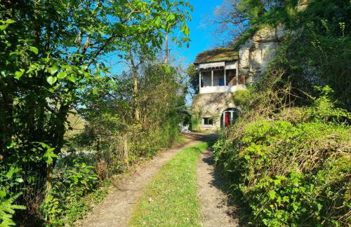 Troglo en bord de Loire, entre vignes et châteaux - Foto 28