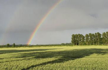 Oase am Deich - Photo 16