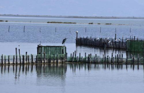 Anna's house - Photo 18