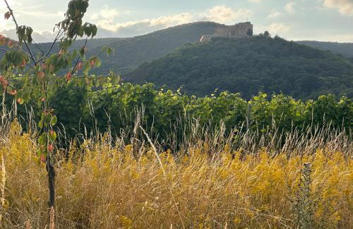 Ferienwohnung Weltachs - Foto 28