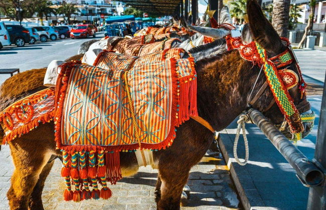 Visita guiada por Mijas - Foto 3