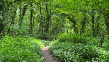 The Hayloft - Foto 5