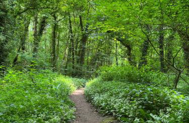 The Hayloft - Foto 5