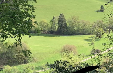 Apartment Schwarz Waldperle - Foto 25