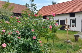 Ostoja Kamionki - Foto 1