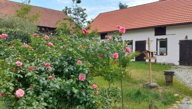 Ostoja Kamionki - Foto 1