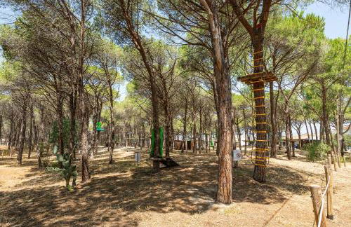 AffittaSardegna - Domo Pineta - Foto 22