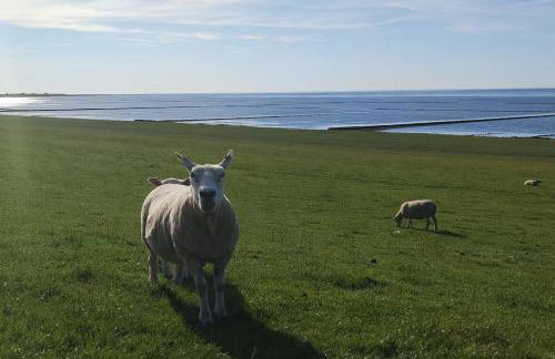 Ferienwohnung Altneukoog - Foto 31