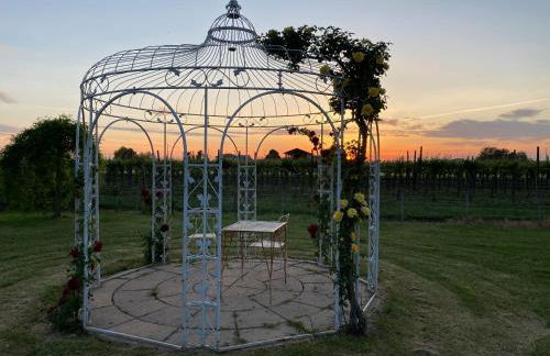 Relaxing house with exclusive swimming pool, close to Imola and Faenza, 4 bathrooms - Photo 11