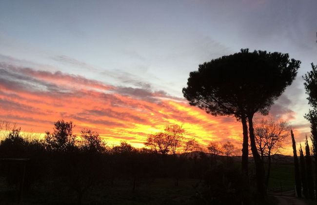 Agriturismo I Profumi dell'Orto - Foto 15