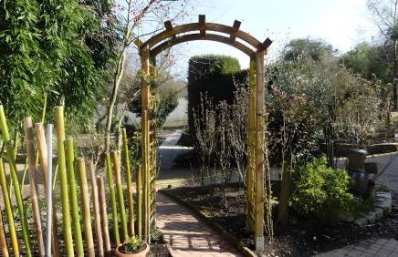 Gite des Orchidées - Foto 5