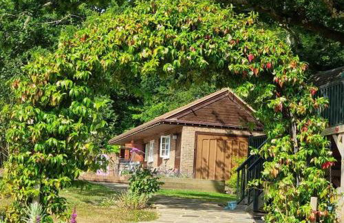 The Stables - 2 bed with large garden and hot tub. - Foto 6