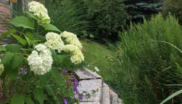 Haus am Fischendorfer Bach - Foto 4, Garden view