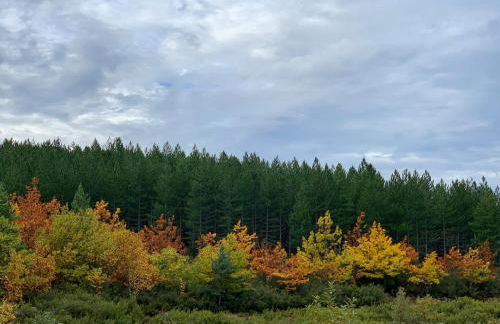 Apimonte Casa do Pascoal - PN Montesinho - Foto 64