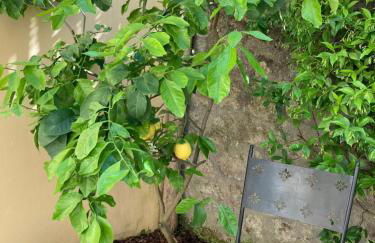 Crawford Home - Foto 31