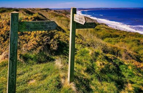 Nelly's Nest - Foto 35