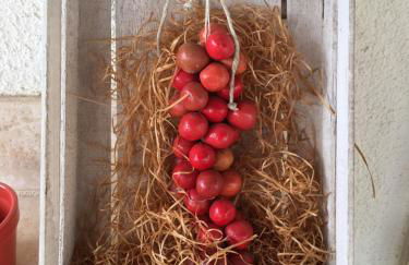 Grano Arso Appartamento Turistico - Foto 55