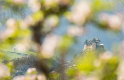 Cirna Gentle Luxury Lodges - Foto 24