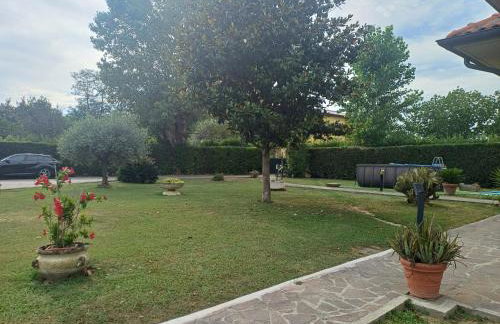 Charme rustico con ampio giardino e piscina con due camere - Foto 24