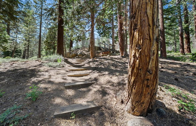 Enjoy Forest Views Retreat at Kingswood Village! - Photo 37