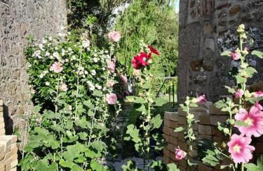 Gîte tante Jeanne - Foto 43