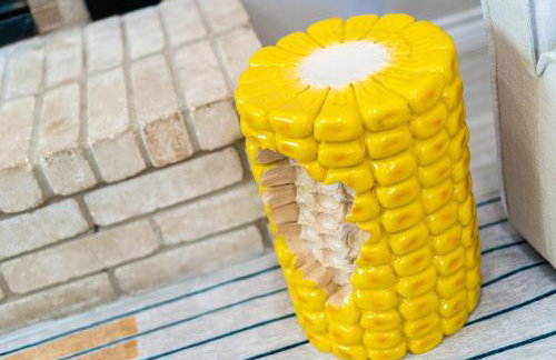 The Corniest Property in Texas ♥ 4 BR ♥ 1/4 Acre ♥ - Foto 6