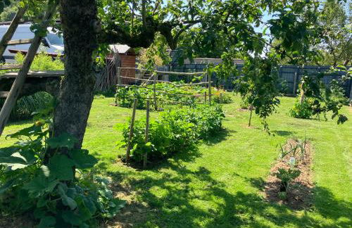 Iflands Hof - Foto 39