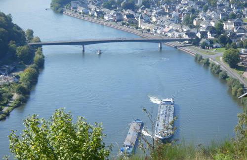 Hausboot Moselrose in Pölich - Foto 51