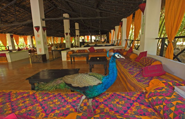 Rann Riders - Foto 39