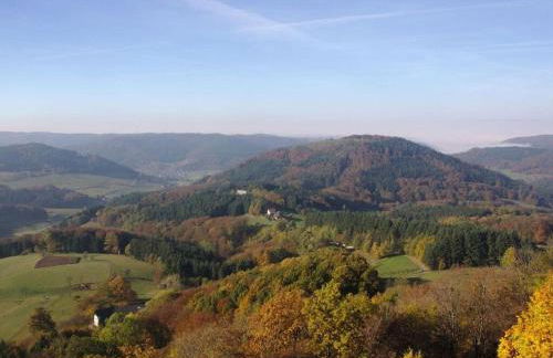 Rebenrain Comfortable Holiday Residence - Foto 36