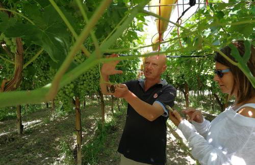 Masseria Marico - Foto 11