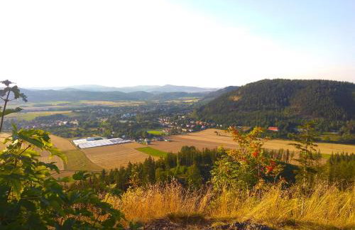 Sudecka Ostoja z Balią i Sauną - Foto 57